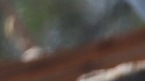 ROLLING FORK, MISSISSIPPI - MARCH 27: Residents and volunteers continue their recovery efforts in the aftermath of Friday's tornado on March 27, 2023 in Rolling Fork, Mississippi. At least 26 people died when an EF-4 tornado ripped through the small town of Rolling Fork and other nearby communities on March 24th. (Photo by Scott Olson/Getty Images)