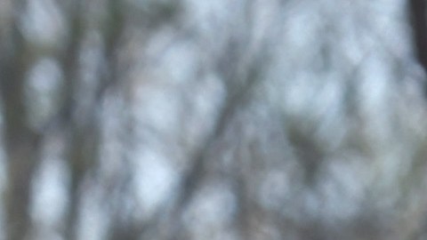 El desastre causado por un tornado en Mississippi esta semana, ilustra la destrucción de estos fenómenos naturales.