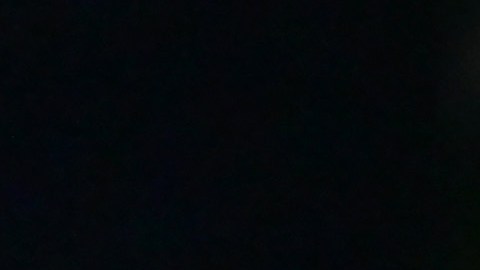 Matt Turner, portero de Estados Unidos.