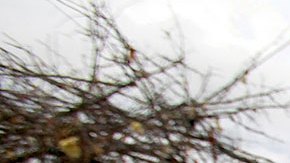 Mississippi se mantiene en alerta por tornados mientras comienzan a cuantificarse los daños