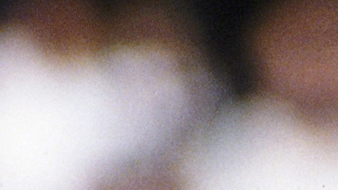 Hugo Sánchez.
