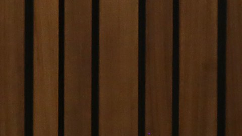 Los padres de Reeva Steenkamp no creen que Pistorius se haya rehabilitado.