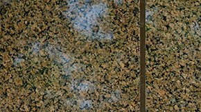 FBI ofrece recompensa para localizar a 4 estadounidenses secuestrados en Tamaulipas, México