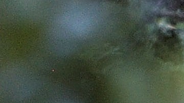 Tragedia en Maryland: 6 trabajadores mueren en un accidente en zona de construcción; tres eran hispanos