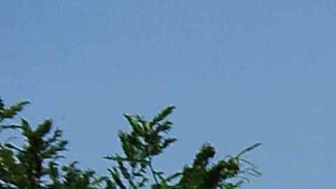 Encuentran fosa clandestina con 10 cadáveres en México, en zona dominada por el Cártel Jalisco