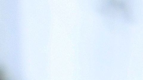 Hallan cuerpo en contenedor de basura luego de que los bomberos controlaran un incendio en Phoenix