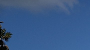 LOS ANGELES, CA - JANUARY 24: Lisa Rogers, a homeless woman, packs up to relocate her camp on January 24, 2017 in Los Angeles, California. According to a 2016 report by the U.S. Department of Housing and Urban Development, Los Angeles has the highest number of homeless people in the nation with close to 13,000 living on the streets. The annual Greater Los Angeles Homeless Count begins today and will continue through Thursday. (Photo by Justin Sullivan/Getty Images)