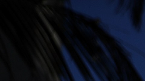 Los precios de vivienda en California superan un 46% el costo a nivel nacional.