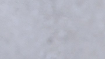 Hallan restos de antiguo reptil oceánico gigante, conocido como ictiosaurio, en una remota isla del Ártico