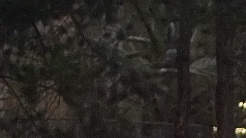 Estudiante en Canadá es arrestado tras apuñalar a dos empleados dentro de escuela