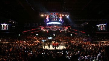 UFC 90 en Ultimate Fight Night de UFC en Allstate Arena.