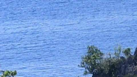 El color azul llega a más profundidad sin ser absorbido ni rebotado por el agua.
