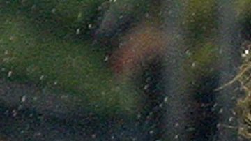 Piqué y Zlatan jugaron juntos en el FC Barcelona.