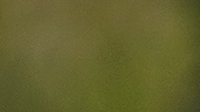 Autor de tiroteo en escuela secundaria de Denver fue encontrado muerto