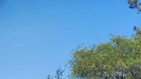 Guardia Nacional de México