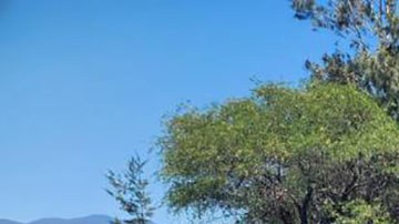 Guardia Nacional de México
