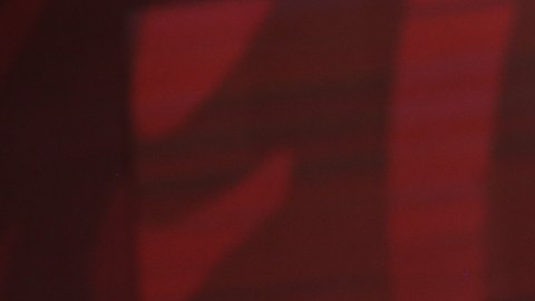 AMLO y congresistas estadounidenses sostienen diálogo "franco y abierto" sobre lucha contra el fentanilo