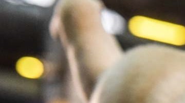 Luca hasta les movía el rabito a los ladrones que asaltaron la casa donde vivía