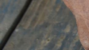 Hombre de Connecticut lleva más de 20 años caminando descalzo