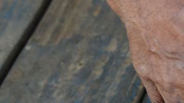 Hombre de Connecticut lleva más de 20 años caminando descalzo