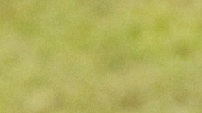 Antonio Mohamed en el 2020 al ser director técnico de Monterrey.