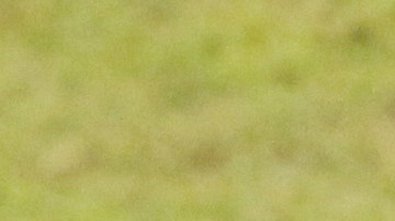 Antonio Mohamed en el 2020 al ser director técnico de Monterrey.