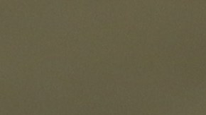 Raúl Alpízar en la categoría Sub16 de la Liga MX.