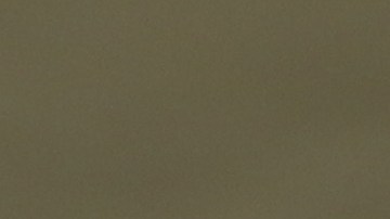 Raúl Alpízar en la categoría Sub16 de la Liga MX.