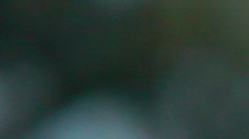 Hernández fue formado en Querétaro.