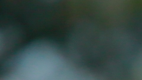 Hernández fue formado en Querétaro.