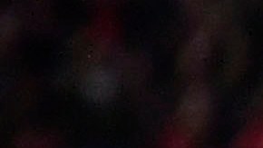 Daniel Alonso Aceves, nuevo jugador del Chicago Fire.