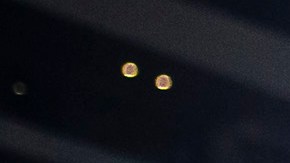 Santiago Giménez fue uno de los grandes ausentes de la Selección Mexicana.