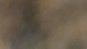 Juan De Dios Ramírez Perales, entrenador interino de Pumas de la UNAM.