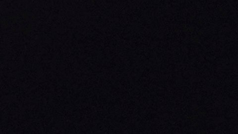 Fernando 'Tano' Ortiz, entrenador del Club América.