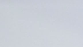 Diego Cocca, actual entrenador de la Selección de Fútbol de México.