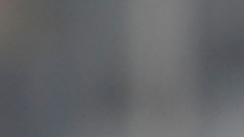 Rafael Puente, director técnico, de Pumas.