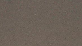 Nahuel Guzmán es uno de los referentes de Tigres.