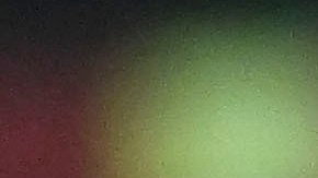 Rafael Puente Jr. entrenador de Pumas de la UNAM.