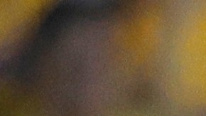 Jonathan Rodríguez y Diego Lainez, durante el partido de la jornada 11 del torneo Clausura 2023 de la Liga MX.