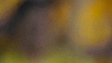 Jonathan Rodríguez y Diego Lainez, durante el partido de la jornada 11 del torneo Clausura 2023 de la Liga MX.