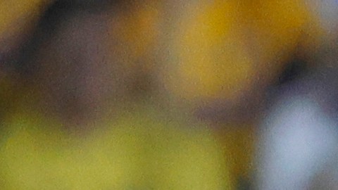 Jonathan Rodríguez y Diego Lainez, durante el partido de la jornada 11 del torneo Clausura 2023 de la Liga MX.