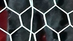 Henry Martín celebra uno de sus goles contra Chivas.