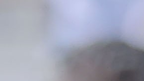 Rafael Puente del Río, entrenador de Pumas de la UNAM.