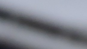 México empató 2-2 ante Jamaica