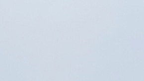 Porristas de Cruz Azul.