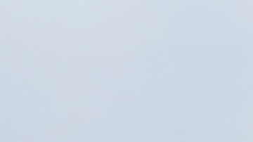 Porristas de Cruz Azul.