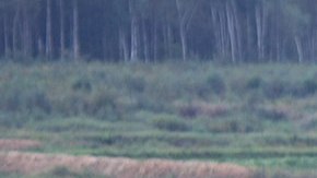 El sistema de misiles Iskander, visto en una foto de archivo, tiene un alcance de hasta 500 km (310 millas).