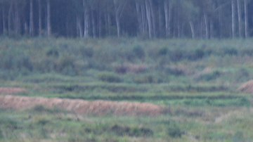 El sistema de misiles Iskander, visto en una foto de archivo, tiene un alcance de hasta 500 km (310 millas).