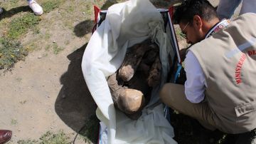 El Ministerio de Cultura de Perú recuperó bien cultural prehispánico identificado como una momia.