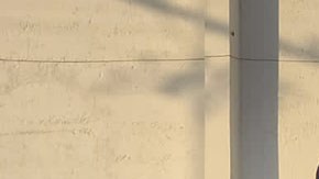 Lamborghini decomisado al narco